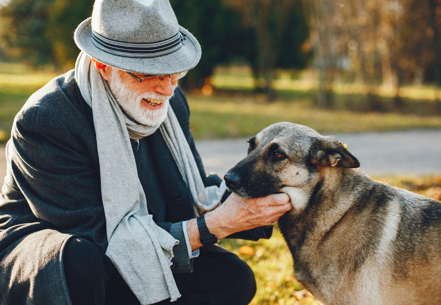A terapia animal como apoio à saúde emocional e física