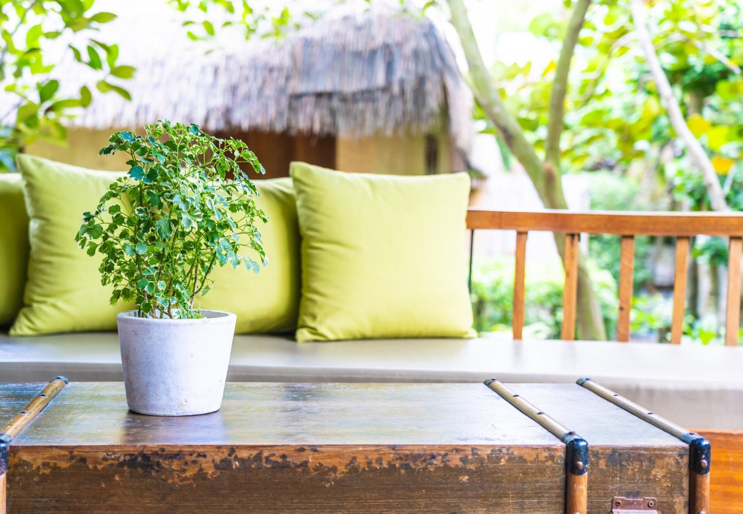 Transformar o espaço exterior sem rebentar com o orçamento