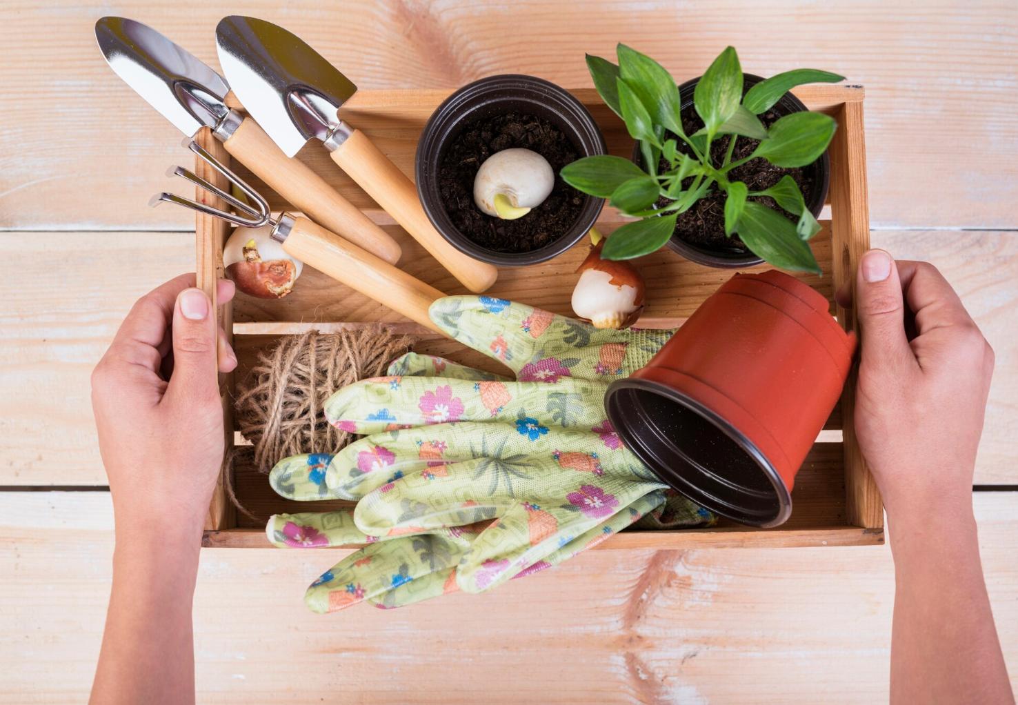 Como limpar ferramentas de jardim em 5 passos simples para que durem uma vida